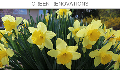 Green Renovations